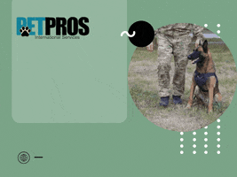 Professional Pet Services GIF