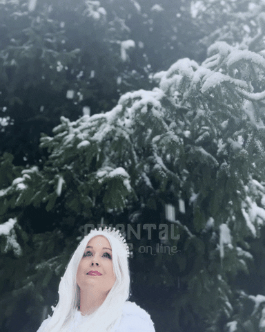 Ice Queen Christmas GIF by Oriental Dance on line