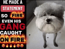Made GIF