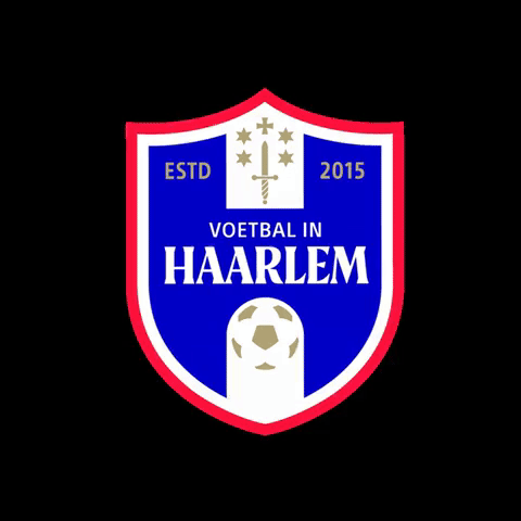Voetbal in Haarlem GIF