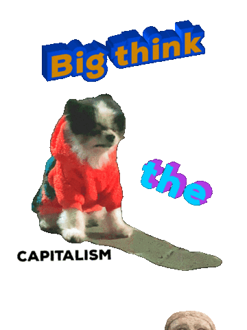 Philosophy Sticker