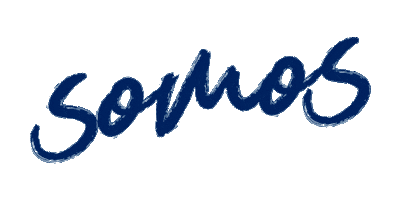 Universidad UNE Sticker