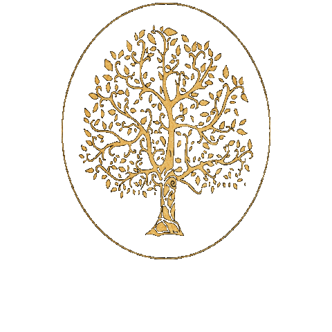 INSTITUTO DENTAL LIFE Sticker