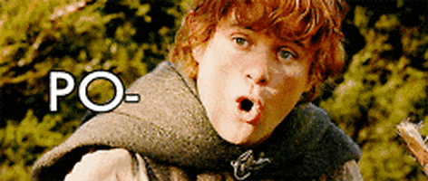 lord of the rings hobbit GIF