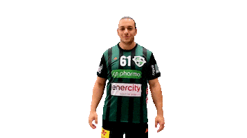 Sport Handball Sticker by DIE RECKEN