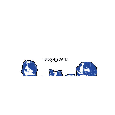 Blueandsnow Sticker by SNSI Japan