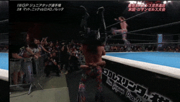 Wrestling Tombstone GIF