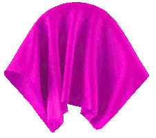 SM Sana Mujer Sticker