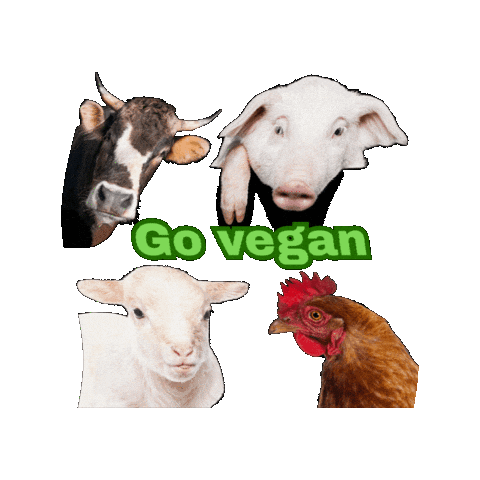 Go Vegan Sticker by Natur-Clean-up