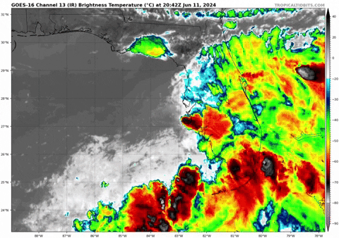 giphy.gif?cid=9b38fe91i8yqy5fqd0sngxtgmi