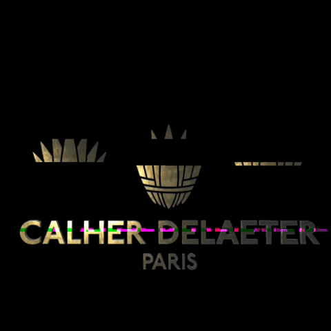 CalherDelaeter calherdelaeter GIF
