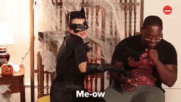 Halloween Cats GIF by BuzzFeed