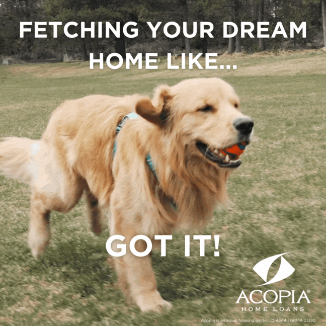Golden Retriever Mortgage GIF by Acopia Home Loans