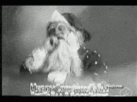 santa claus film GIF by Okkult Motion Pictures