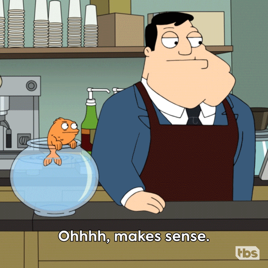 Stan Premiere GIF by American Dad