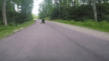 vertigopros michigan trike drift trike trikes GIF