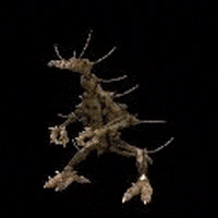 Creature GIF