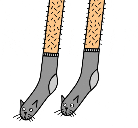 Cat Illustration GIF