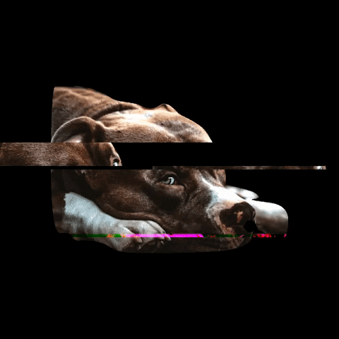 Butcher‘s Barbershop GIF