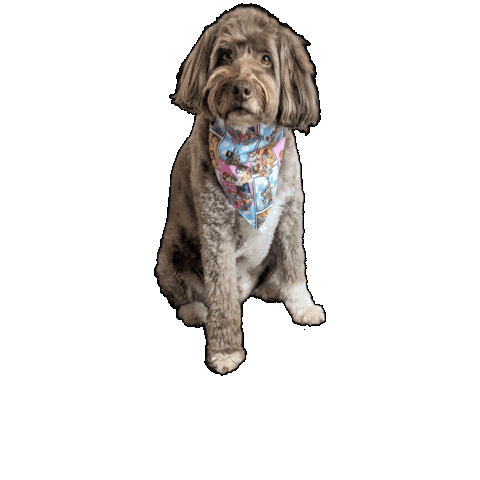 Up Dog Sticker by Geekster Pets