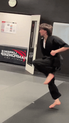 Karate Dancing GIF