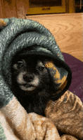 Oh Yeah Ok GIF by ScalerFab