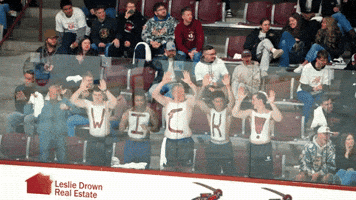 Womens Hockey GIF by Norwich University