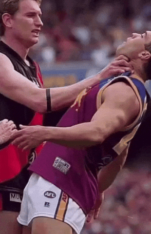 Essendon Bombers GIF