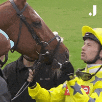 Happy Love You GIF by The Jockey Club