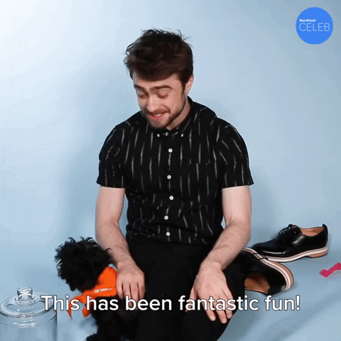 Harry Potter Fun GIF by BuzzFeed
