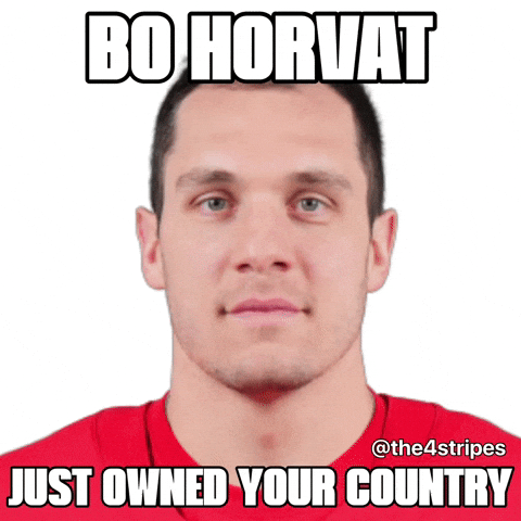 New York Islanders Hockey GIF