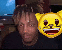 Juice And Cat GIF