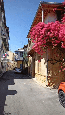 Cyprus GIF