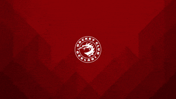 Time Out GIF by HC Oceláři Třinec