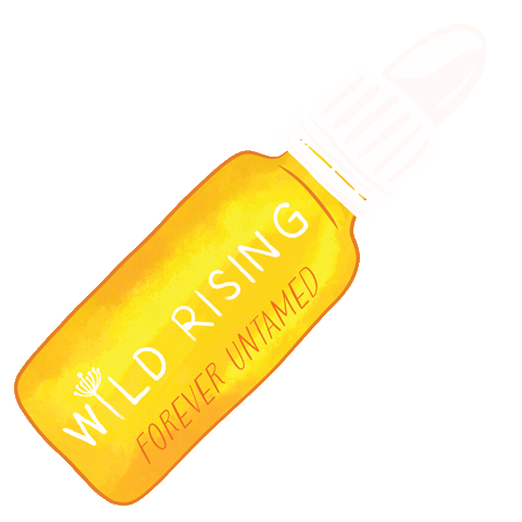 Dani Radiance Sticker