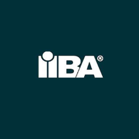 GIF by IIBA