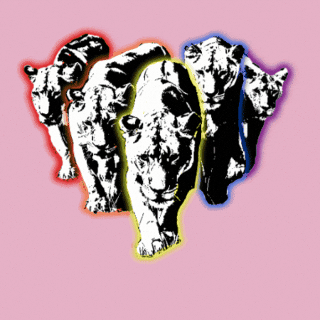 Pride Lion GIF
