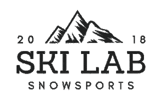 Ski School Logo Sticker by SkiLab