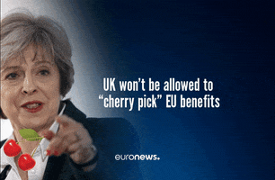 euronews brexit theresa may cherry picking GIF