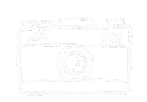 カメラ Sticker