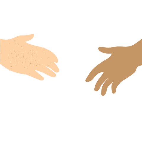 Coral Melody Sticker