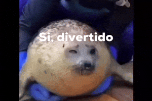 Si GIF