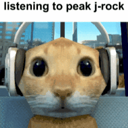 Cat Rock GIF