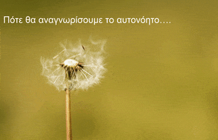 symposio peace GIF