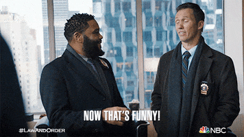 Episode 2 Reaction GIF by Law & Order