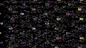 Glitch GIF