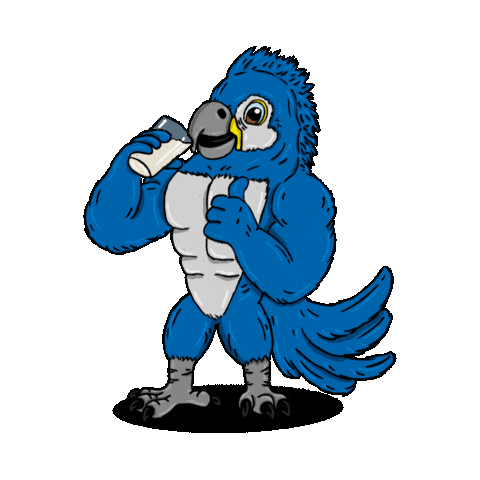 Grupo Agility Sticker