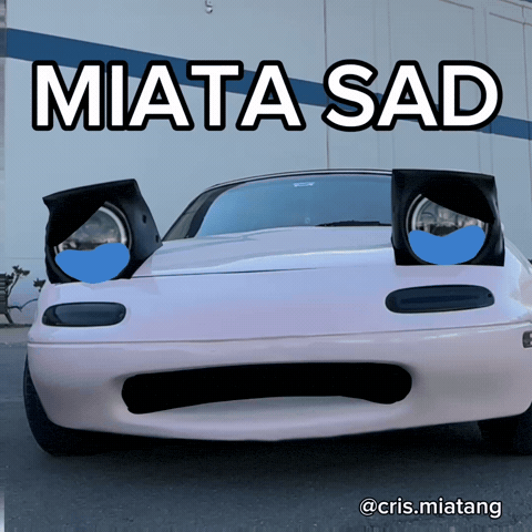 Sad Cry GIF