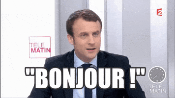 emmanuel macron citation GIF by franceinfo