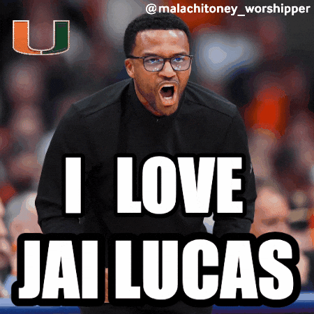 Basketball Miami GIF